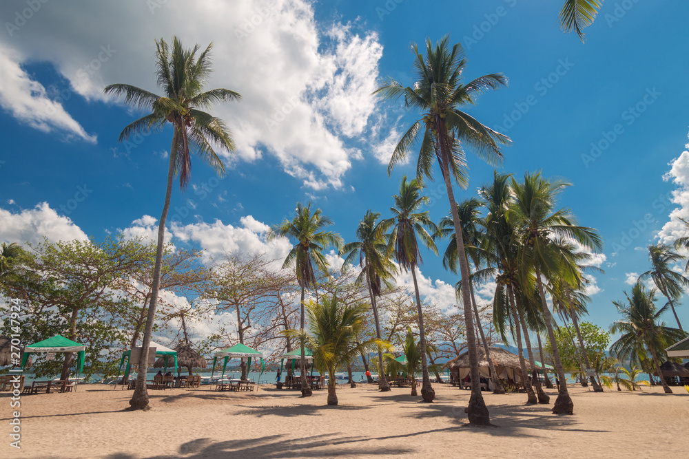 Sunny beach with palms on Luli Island, Honda bay, Palawan,  Philippines