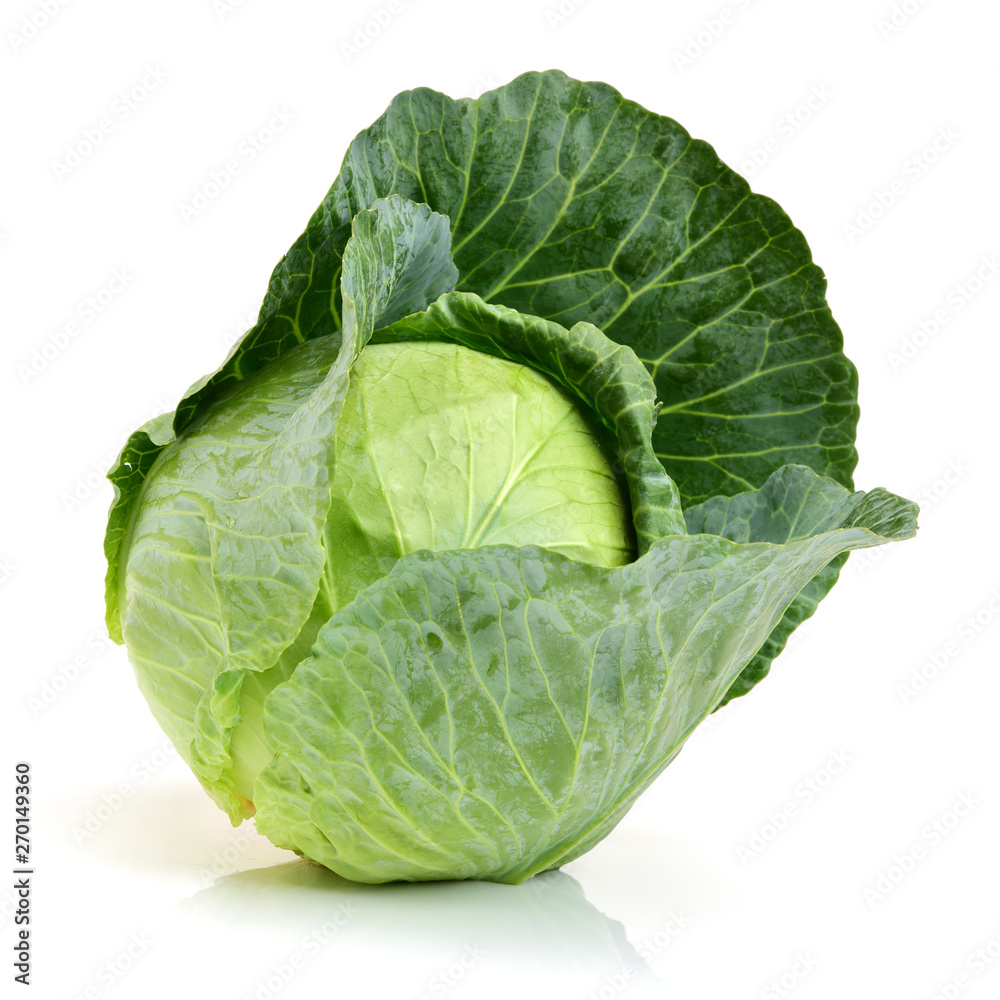 Fototapeta premium cabbage on white background