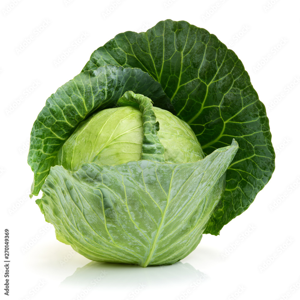 Fototapeta premium cabbage on white background