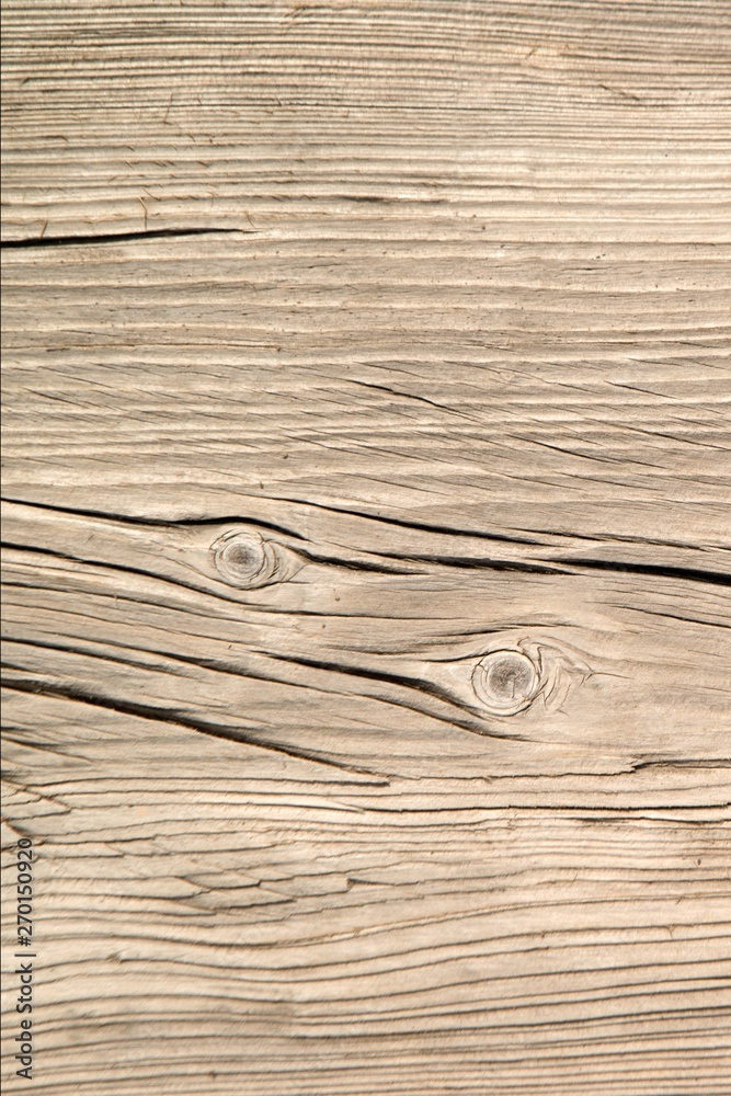 Fototapeta premium Timber vintage old wood texture and background surface.