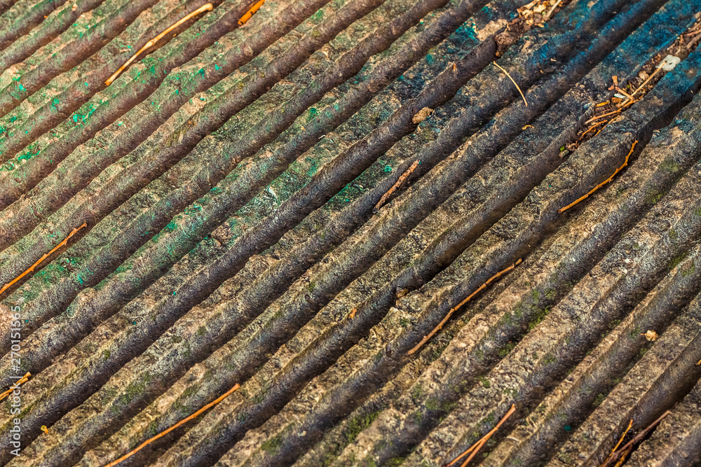 beautiful texture of ancient stone from the time of ancient tribes; there are tree branches on the surface beautiful texture of ancient stone from the time of ancient tribes; there are tree branches on the surface