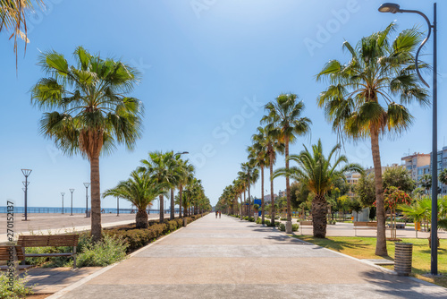 Promenade alley with palm trees in Limassol, Cyprus © lucky-photo