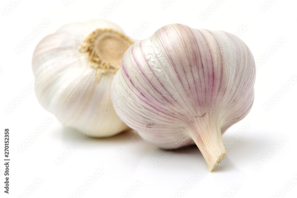 fresh garlic isolated on white background fresh garlic isolated on white background