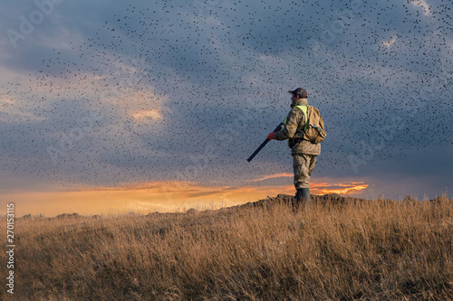 Silhouette of a hunter with a gun in the reeds against the sun, an ambush for ducks with dogs