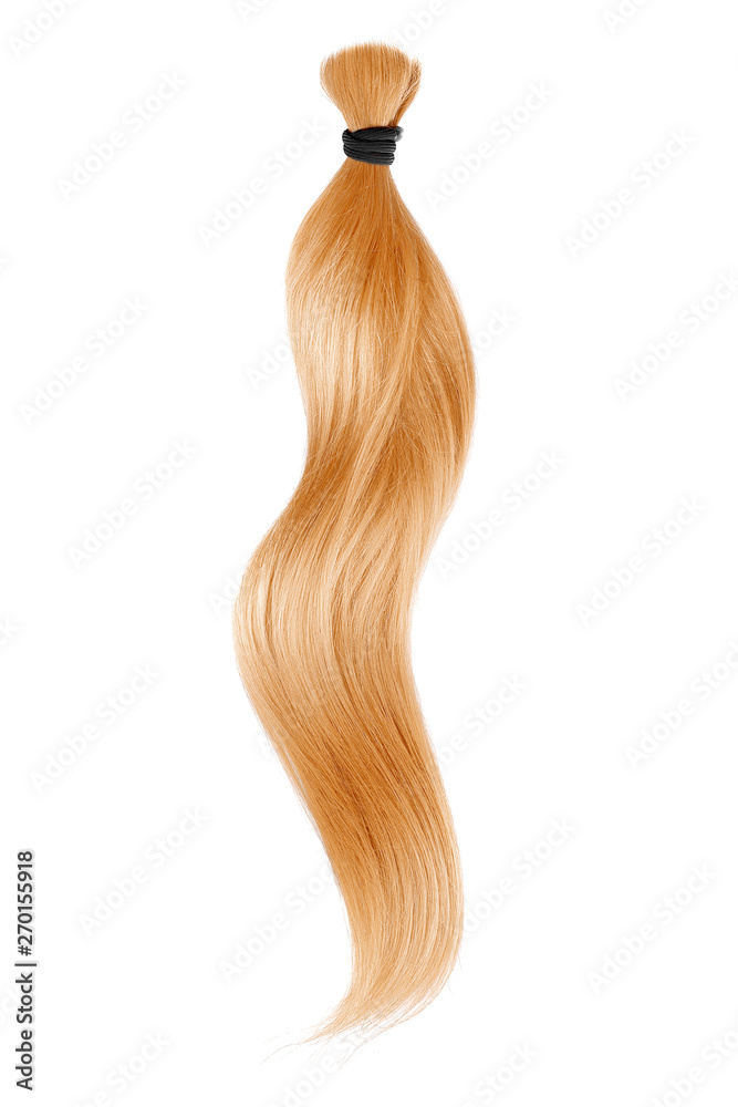 Golden blond hair isolated on white background. Long wavy ponytail Golden blond hair isolated on white background. Long wavy ponytail