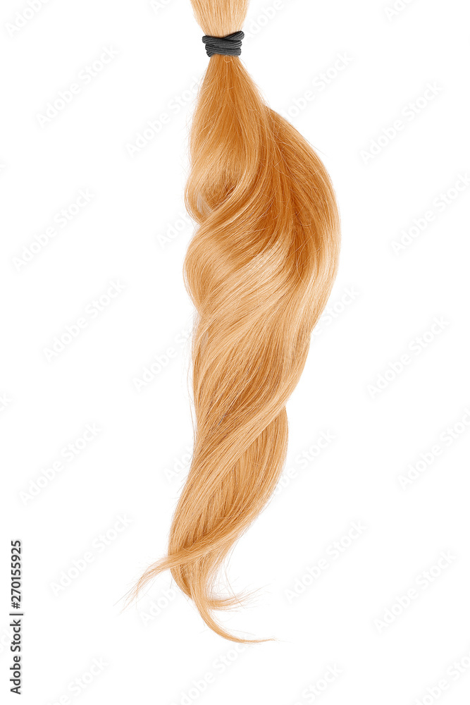 Golden blond hair isolated on white background. Long wavy ponytail Golden blond hair isolated on white background. Long wavy ponytail