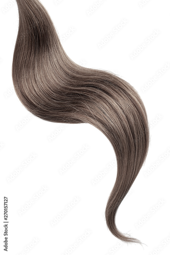 Brown hair isolated on white background. Long wavy ponytail Brown hair isolated on white background. Long wavy ponytail