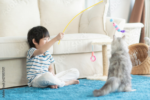 Cute Asian child playing with two cats