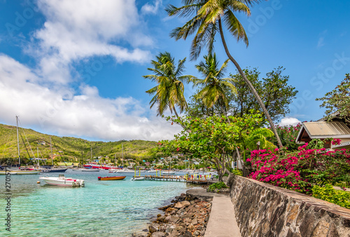 Beautiful landscape of Bequia with palm trees along the waterfront. photo
