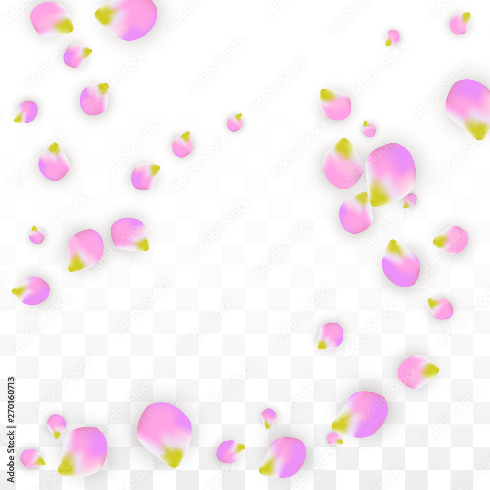 Vector Realistic Pink Petals Falling on Transparent Background.  Spring Romantic Flowers Illustration. Flying Petals. Sakura Spa Design. Blossom Confetti.