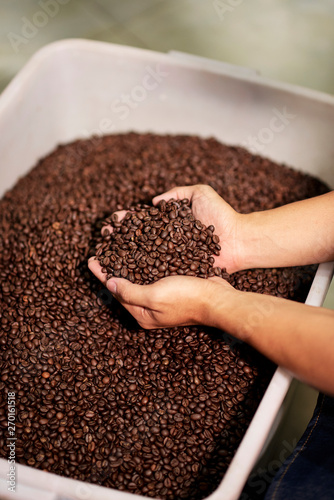 Close-up of man taking coffee beans in his hands from big container and checking their quality at coffee factory
