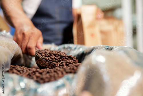 Close-up of man taking black aroma coffee beans in bag and checking it for quality on factory