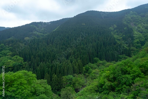 新緑の山並み