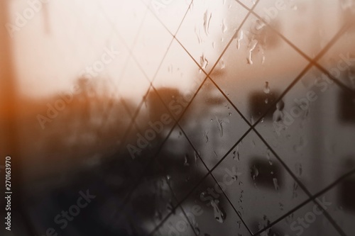 Canvas Print Rain in Tokyo