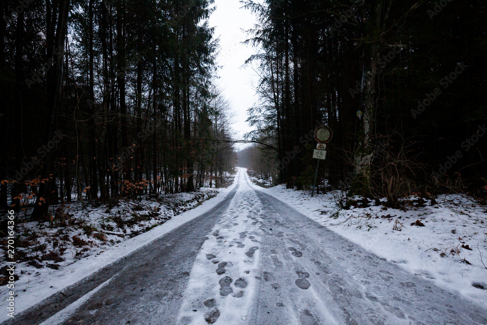 Obraz premium Winter Forest Road