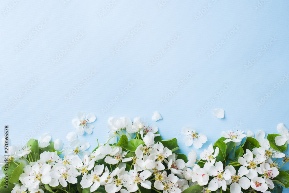 Spring flowering branch on blue background. Apple blossoms Copy space Spring flowering branch on blue background. Apple blossoms Copy space
