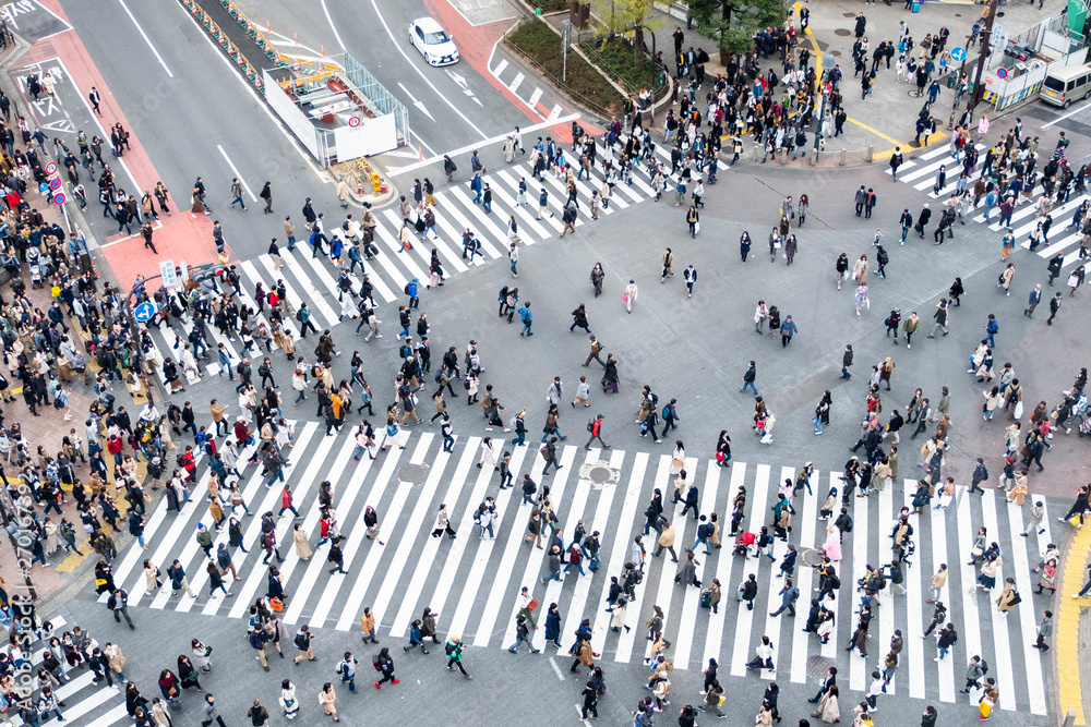 Obraz premium Przejście Shibuya w Japonii