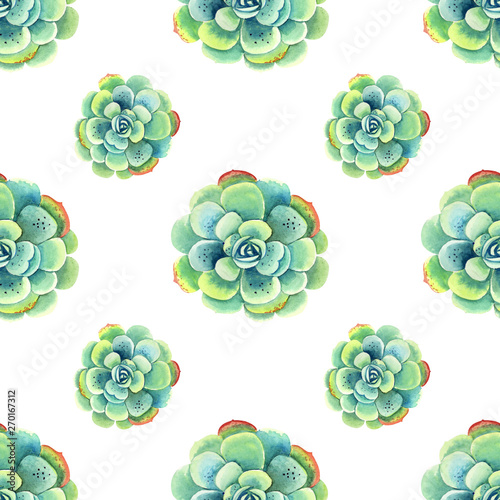 Seamless pattern with watercolor cactus succulents. Hand painted.