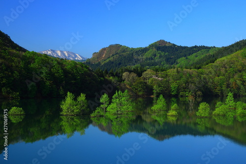 新緑の錦秋湖 © yspbqh14