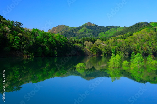 新緑の錦秋湖