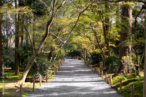 walkway in garden and forest