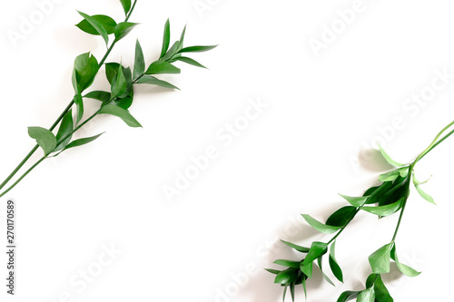 Border frame made of ruscus branches on white background photo