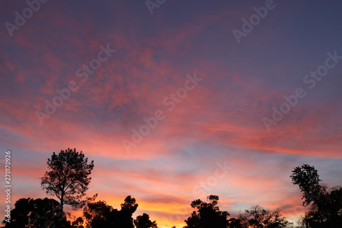 Evening sky in San Diego