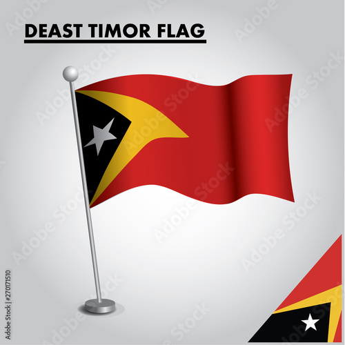 EAST TIMOR flag icon. National flag of EAST TIMOR on a pole