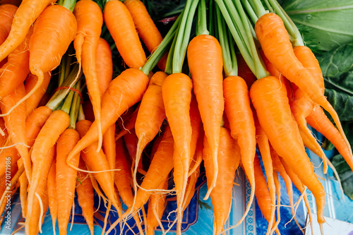 Obraz na płótnie mini carrot baby
