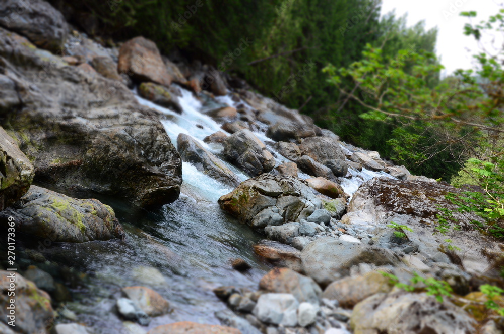 Natur im Golden Ears Provincial Park in Kanada Natur im Golden Ears Provincial Park in Kanada
