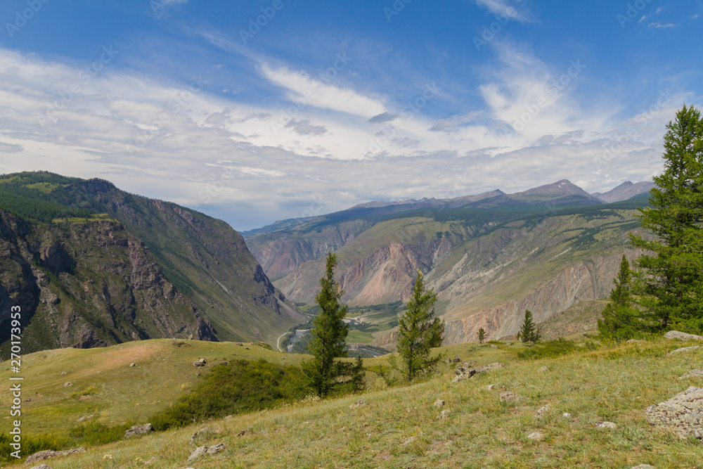 Fototapeta premium Valley of the river, top view. Altay mountains. Summer sunny day.