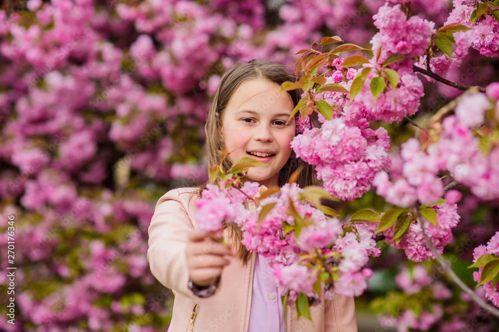 Kid on pink flowers sakura tree background. Allergy remedy. Child enjoy life without allergy. Sniffing flowers. Girl enjoying floral aroma. Pollen allergy concept. Kid enjoy cherry blossom sakura Kid on pink flowers sakura tree background. Allergy remedy. Child enjoy life without allergy. Sniffing flowers. Girl enjoying floral aroma. Pollen allergy concept. Kid enjoy cherry blossom sakura