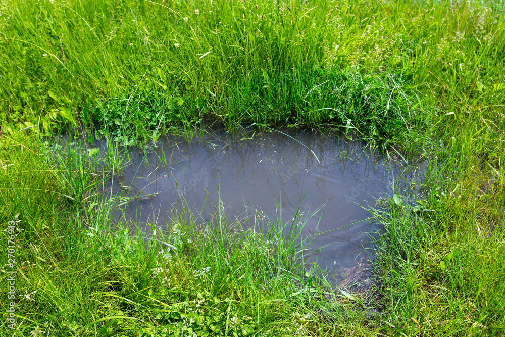 puddle on green meadow puddle on green meadow