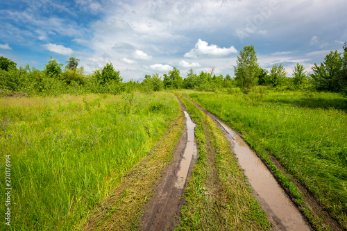 wet dirt road in steppe