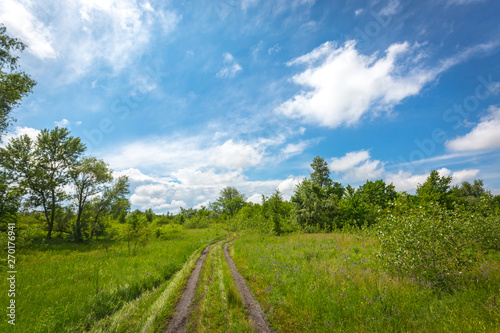 dirt road in steppe