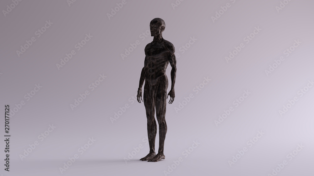 Black Iron Ecorche Muscle and Skeletal System Anatomical Model 3 Quarter Front Left View Black Iron Ecorche Muscle and Skeletal System Anatomical Model 3 Quarter Front Left View