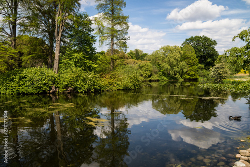 Reflections on the lake