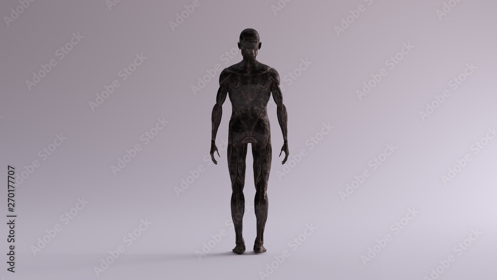 Black Iron Ecorche Muscle and Skeletal System Anatomical Model Rear View 3d illustration 3d render Black Iron Ecorche Muscle and Skeletal System Anatomical Model Rear View 3d illustration 3d render