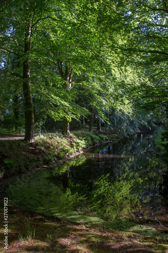 Ditch with trees. Havixhorst Netherlands