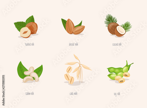 Different variation of plant based milk. Nuts set: hazelnut, coconut, almond, soy bean, oat, cashew.