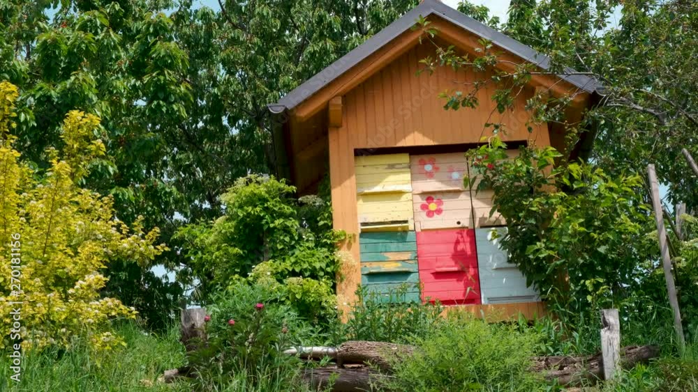 Static shot of decorative, colourful painted boxes & apex roof on ornate bee house in countryside wilderness scene. Bee swarm flying around opening in the apiary scenery. Static shot of decorative, colourful painted boxes & apex roof on ornate bee house in countryside wilderness scene. Bee swarm flying around opening in the apiary scenery.