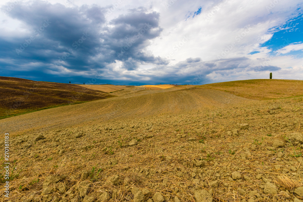 Fototapeta premium Tuscany landscape