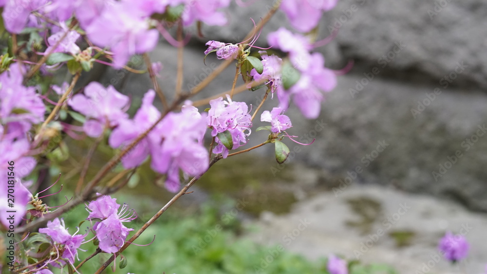 Fototapeta premium architecture