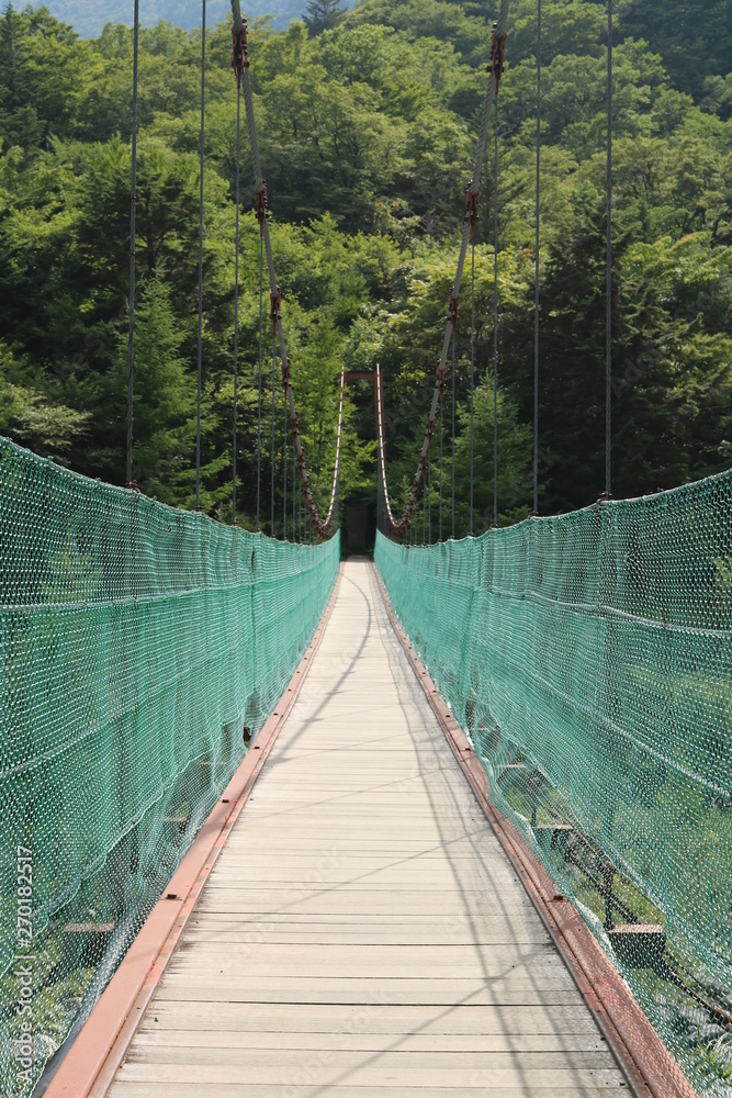 Fototapeta premium bridge in the forest