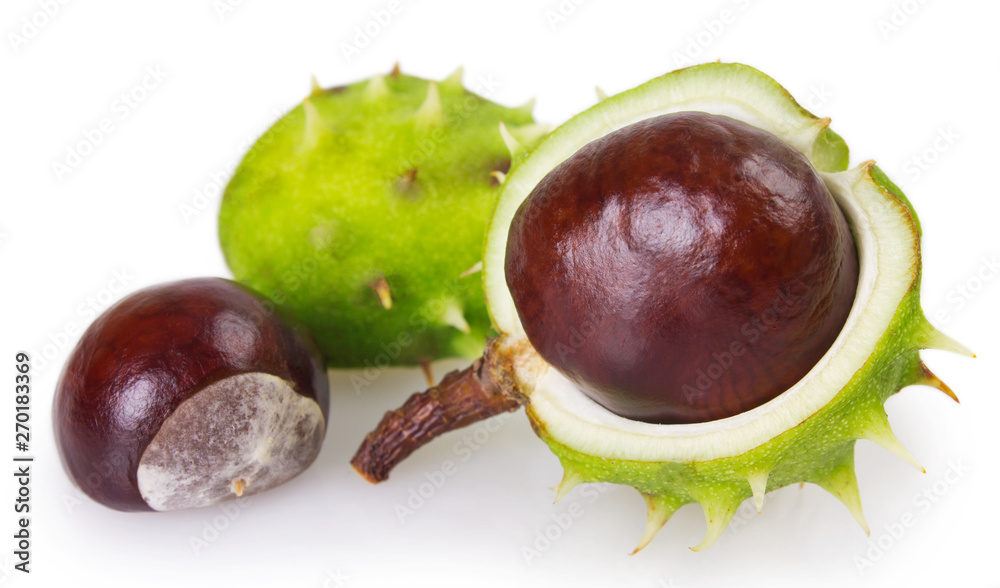 Fresh chestnut on white background Fresh chestnut on white background