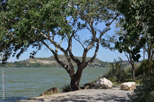 étang de l'Olivier, Istres, France photo