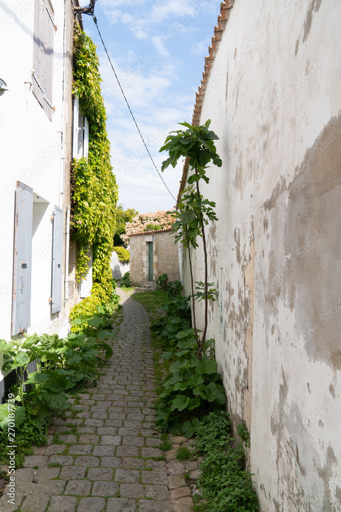 authentic little cobblestone street in Charentes maritime ile de Re Island in France