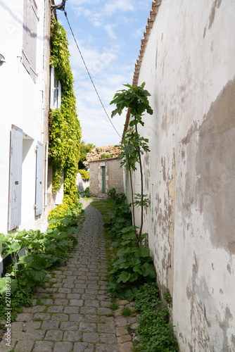 Fototapeta Naklejka Na Ścianę i Meble -  authentic little cobblestone street in Charentes maritime ile de Re Island in France