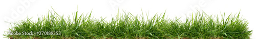 Fotografia Fresh green grass isolated against a white background