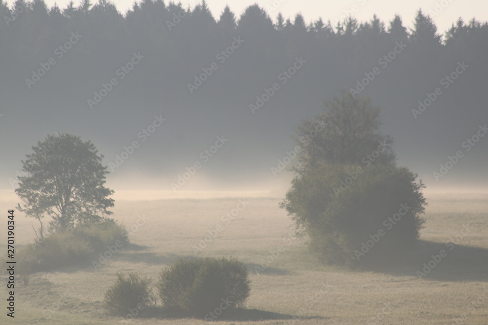 custom made wallpaper toronto digitalBiosphärengebiet Schwäbische Alb